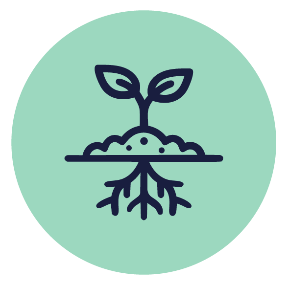 Diagrama de los 6 pilares que sostinenen tu vida Curso Construye tu versión más poderosa de Verónica Ampudia para lograr equilibrio de vida con los 6 pilares del bienestar